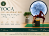 Yoga cho người bận rộn - những động tác đơn giản có thể tập mỗi ngày