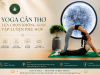 Yoga Cần Thơ – Lựa chọn không gian tập luyện phù hợp