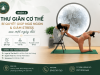 YOGA GIẢM STRESS -THƯ GIÃN CƠ THỂ BÍ QUYẾT GIÚP NGỦ NGON 