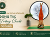 ĐỘNG TÁC YOGA ĐẸP - Ngày 2: Làm thế nào để lên được động tác trồng chuối dễ dàng?