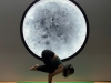 Vinyasa Yoga