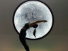 Hatha Yoga