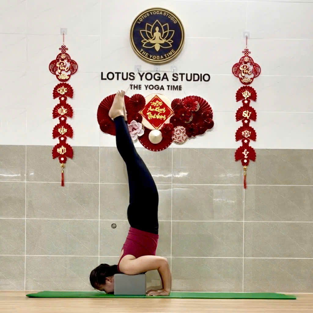 Lớp học Lotus Yoga Cần Thơ không gian tập yoga chuyên nghiệp